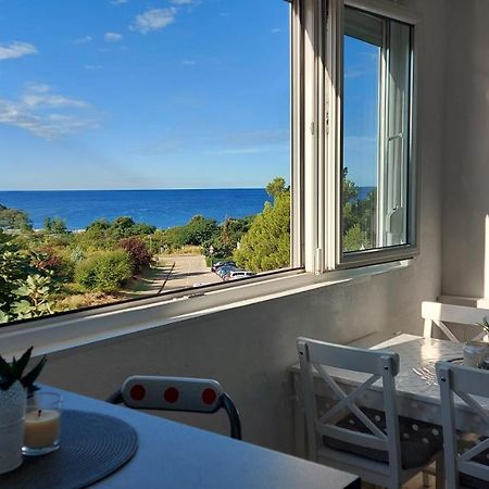 Pipo Apartment Mareda Novigrad  Exterior photo
