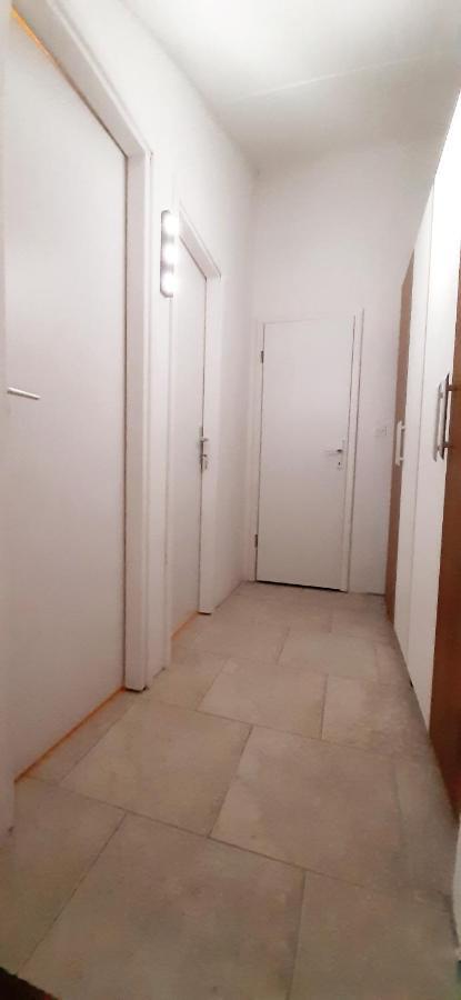Pipo Apartment Mareda Novigrad  Exterior photo