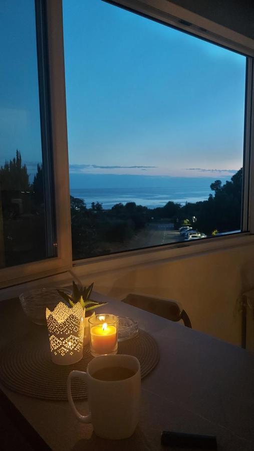Pipo Apartment Mareda Novigrad  Exterior photo